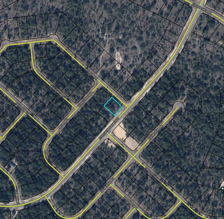 TBD SHENANDOAH BOULEVARD, Chipley, FL 32428