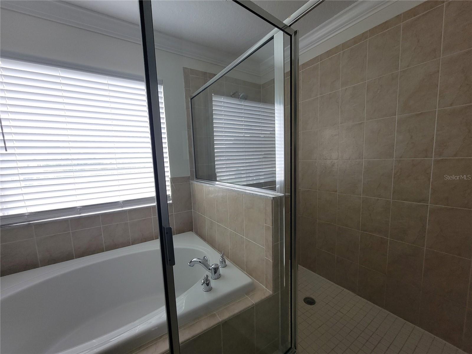 Master shower