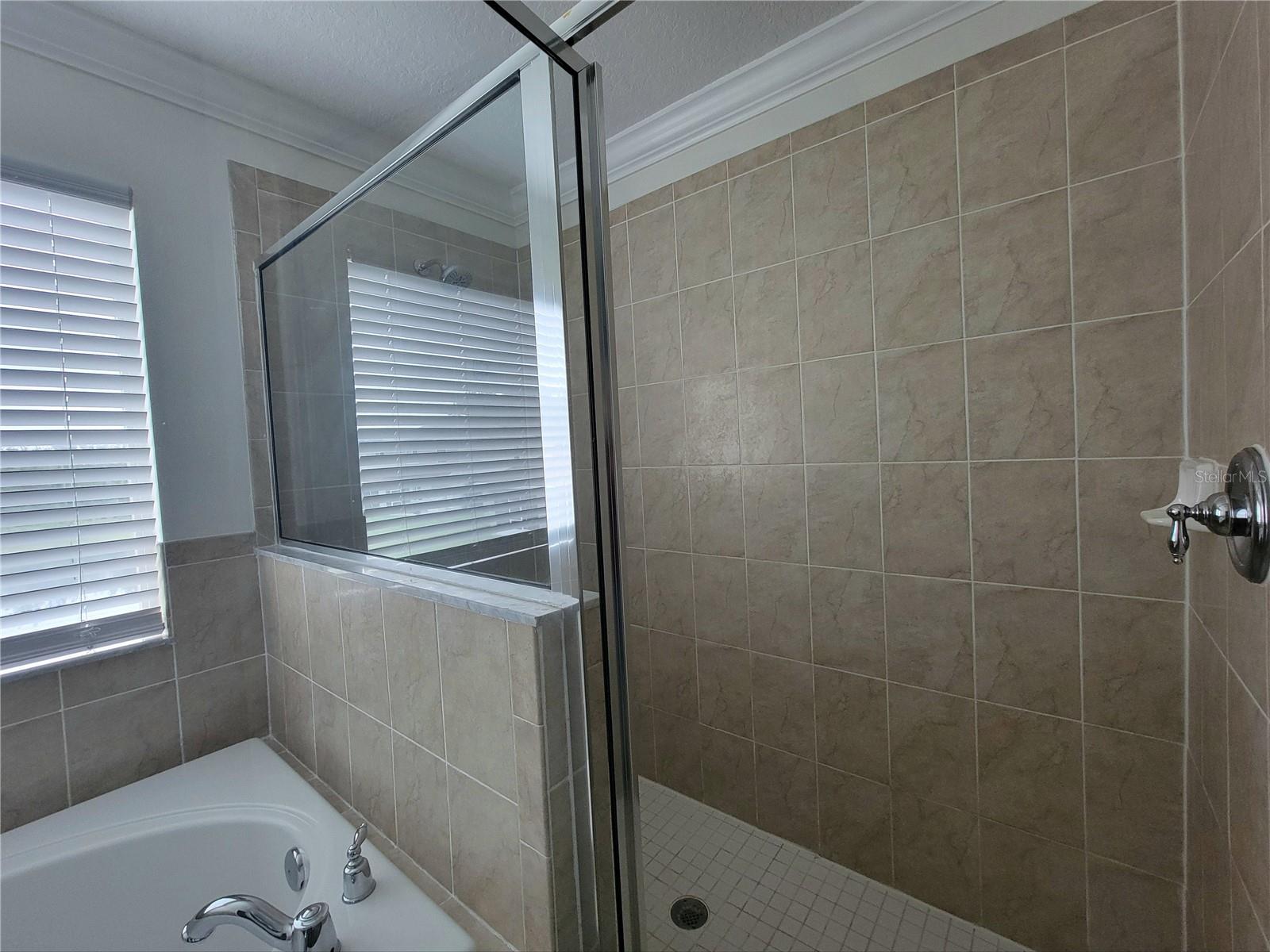 Master shower