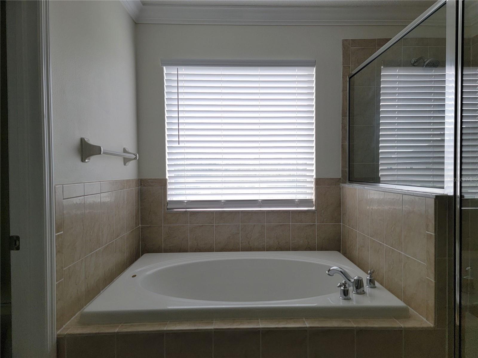 Master Bathtub