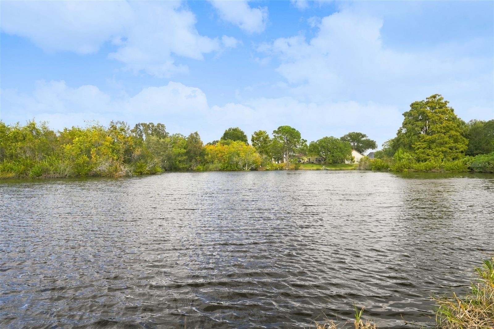 Enjoy watching the Wildlife around the Lake