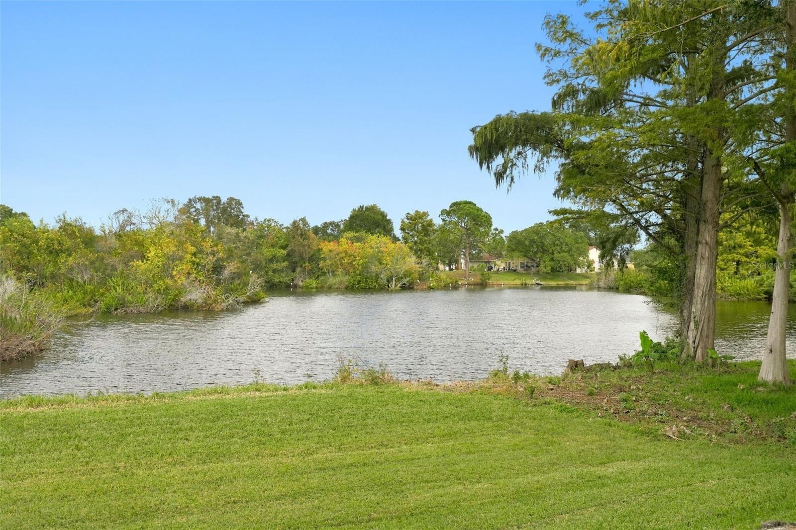 View of the Lake