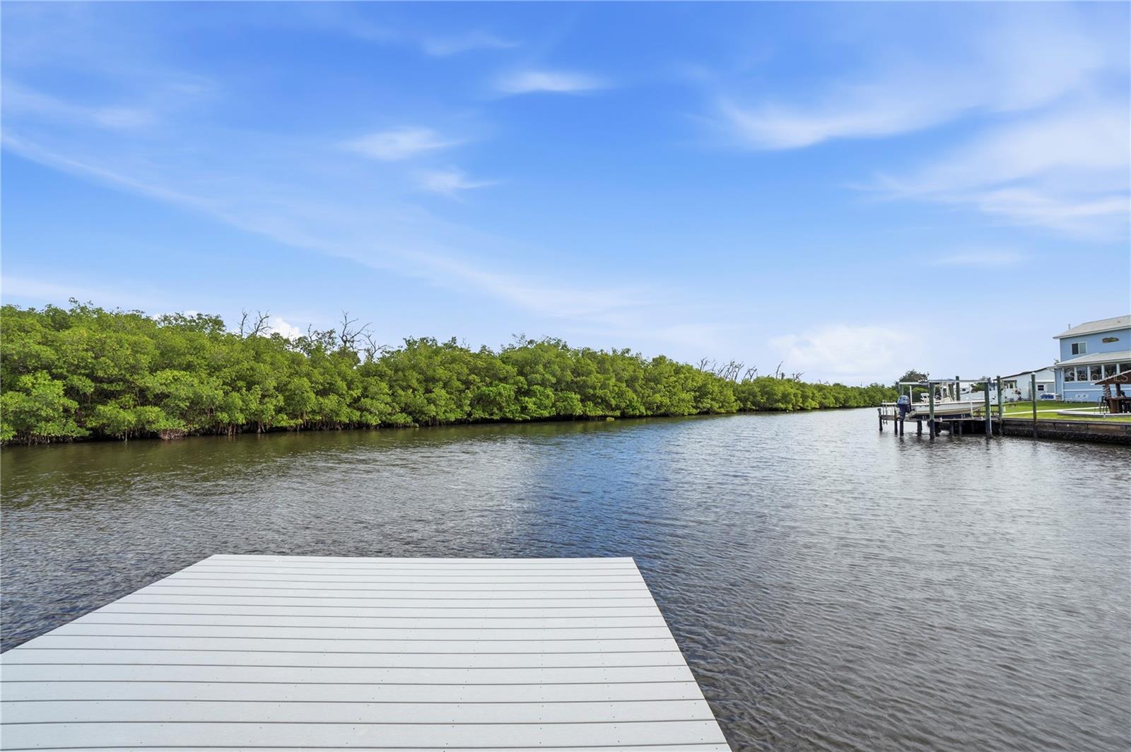 6533 SENEGAL PALM WAY, Apollo Beach, FL 33572