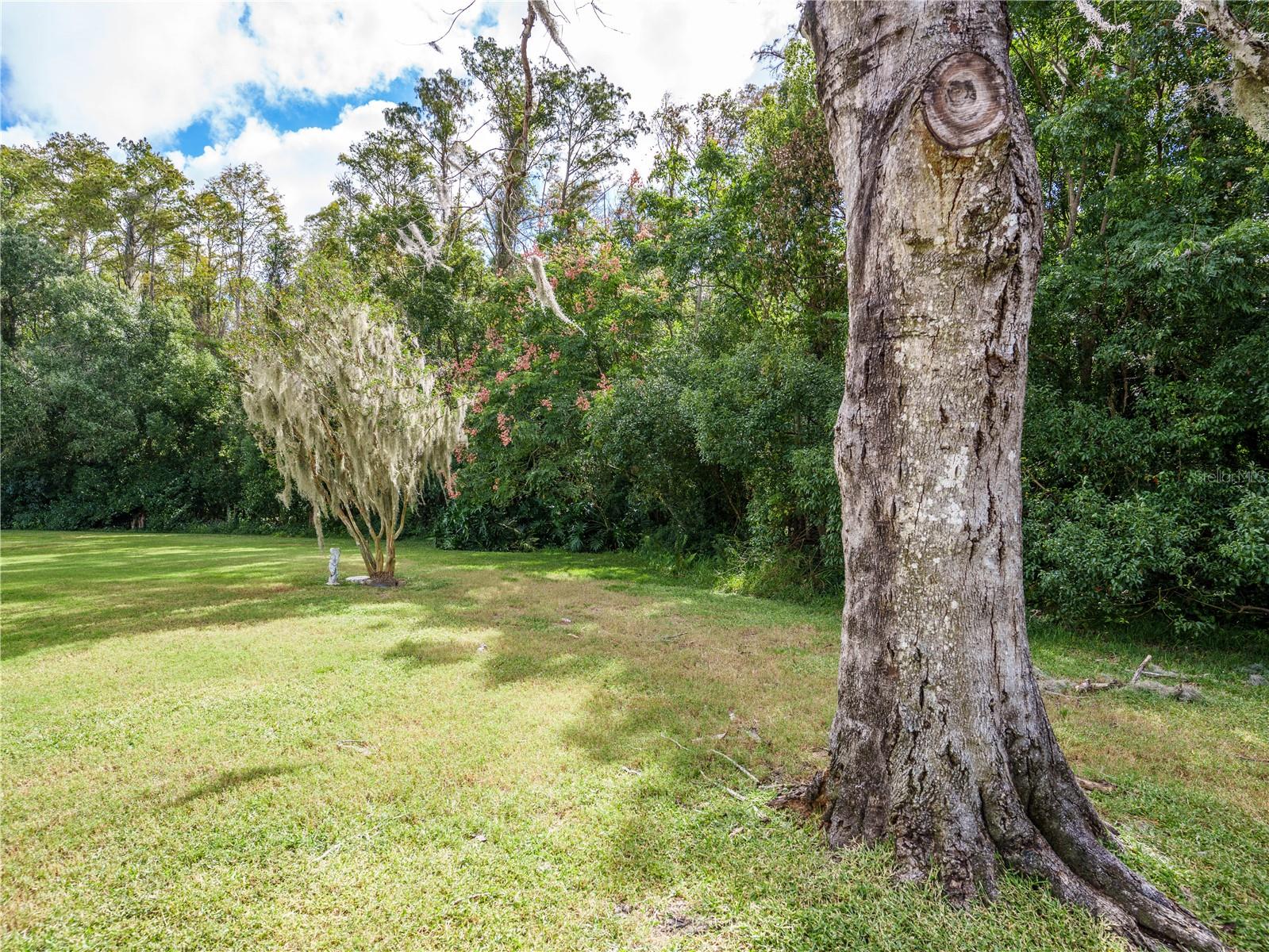 9730 CAVENDISH COURT, New Port Richey, FL 34655