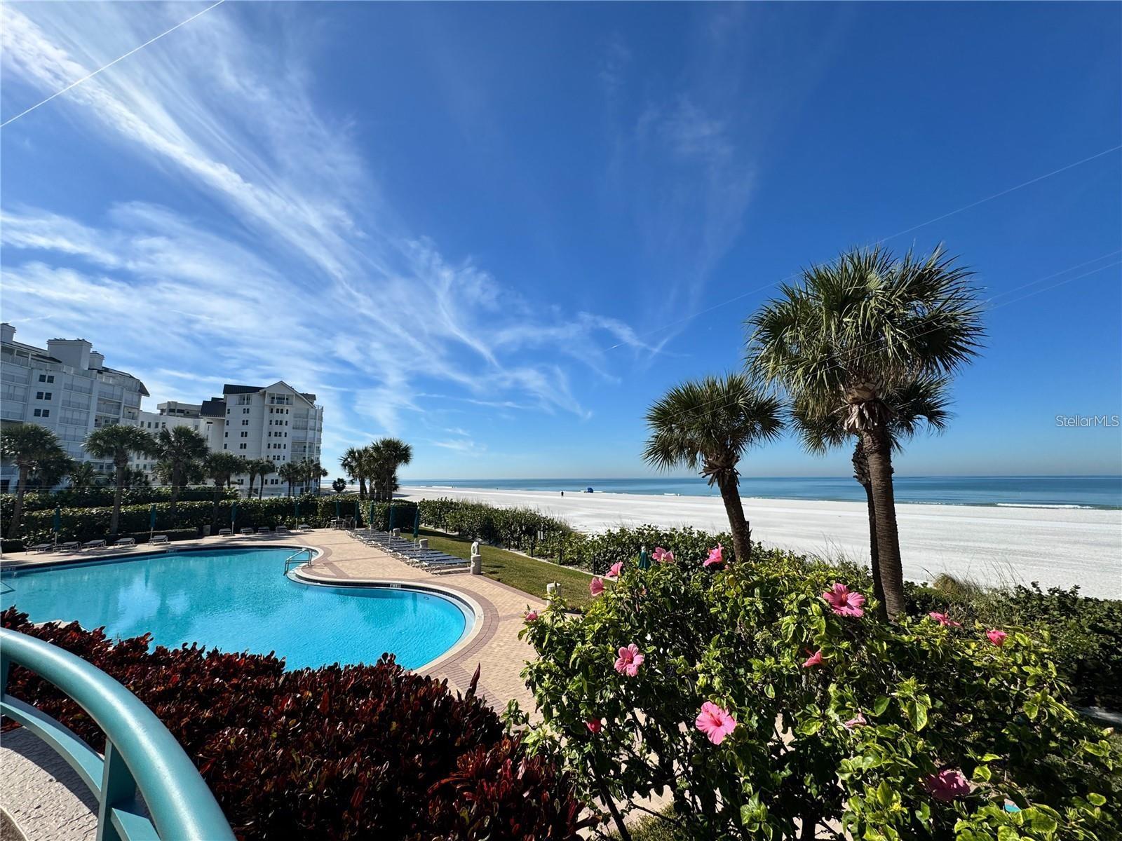 1560 GULF BOULEVARD, #804, Clearwater Beach, FL 33767