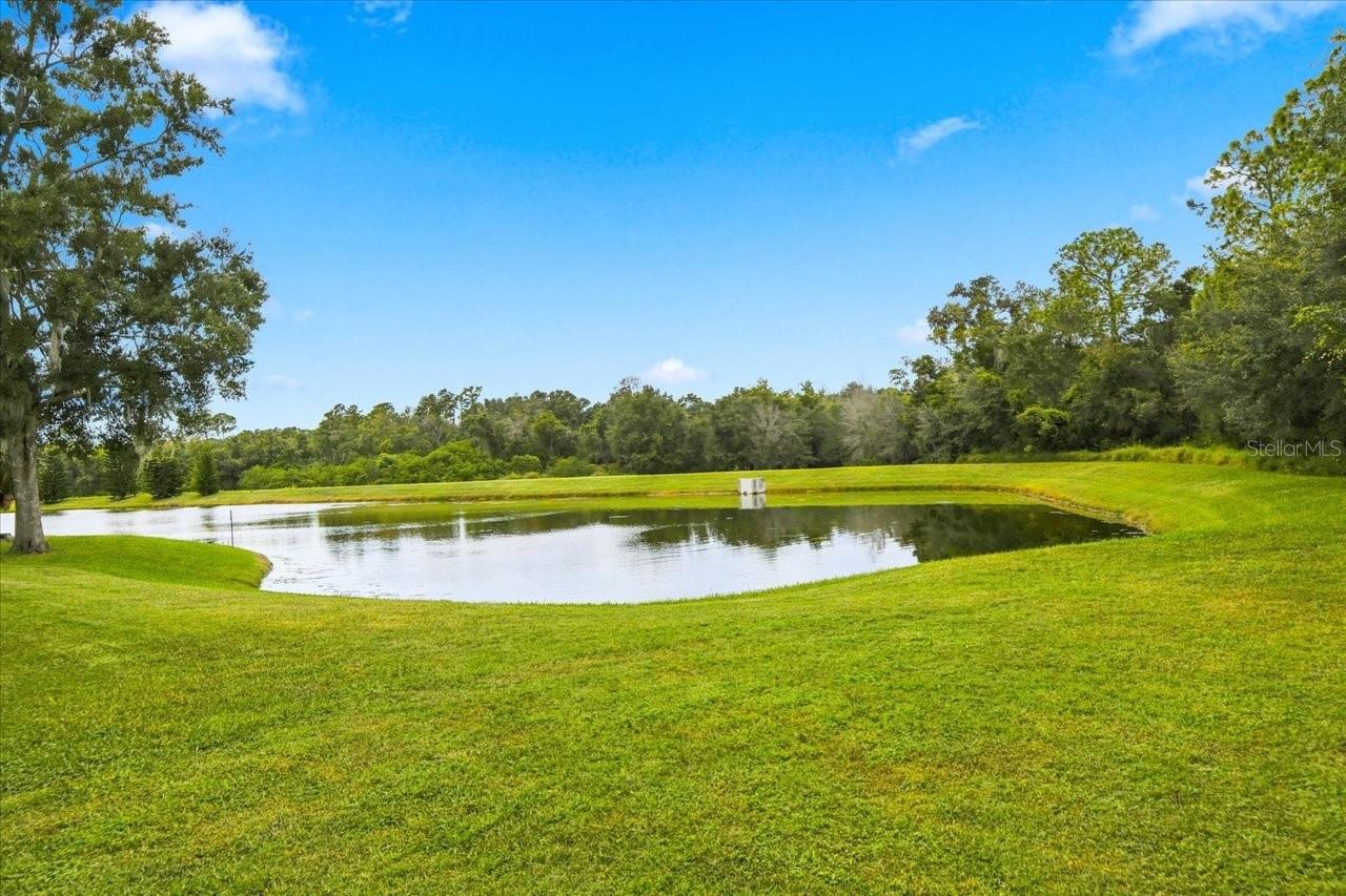 5909 BROWDER ROAD, Tampa, FL 33625