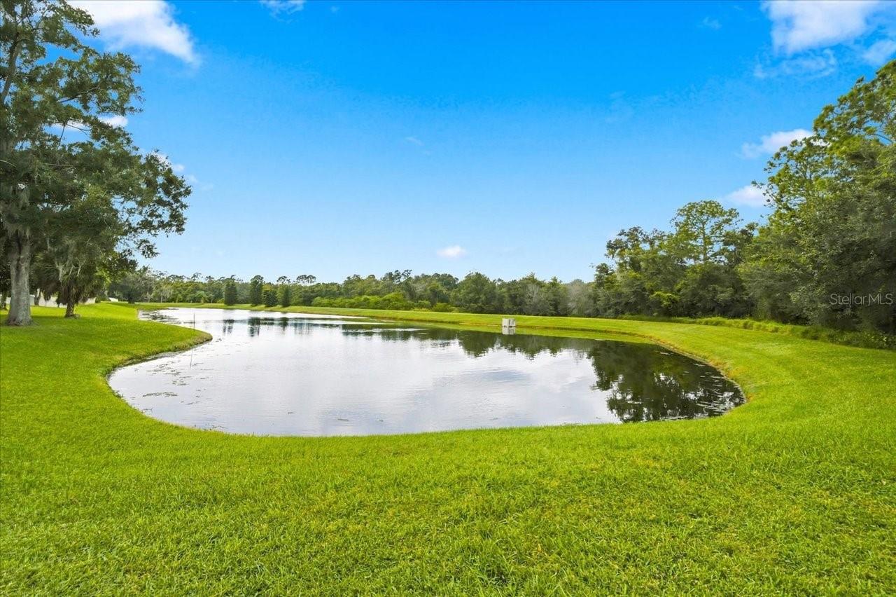 5909 BROWDER ROAD, Tampa, FL 33625
