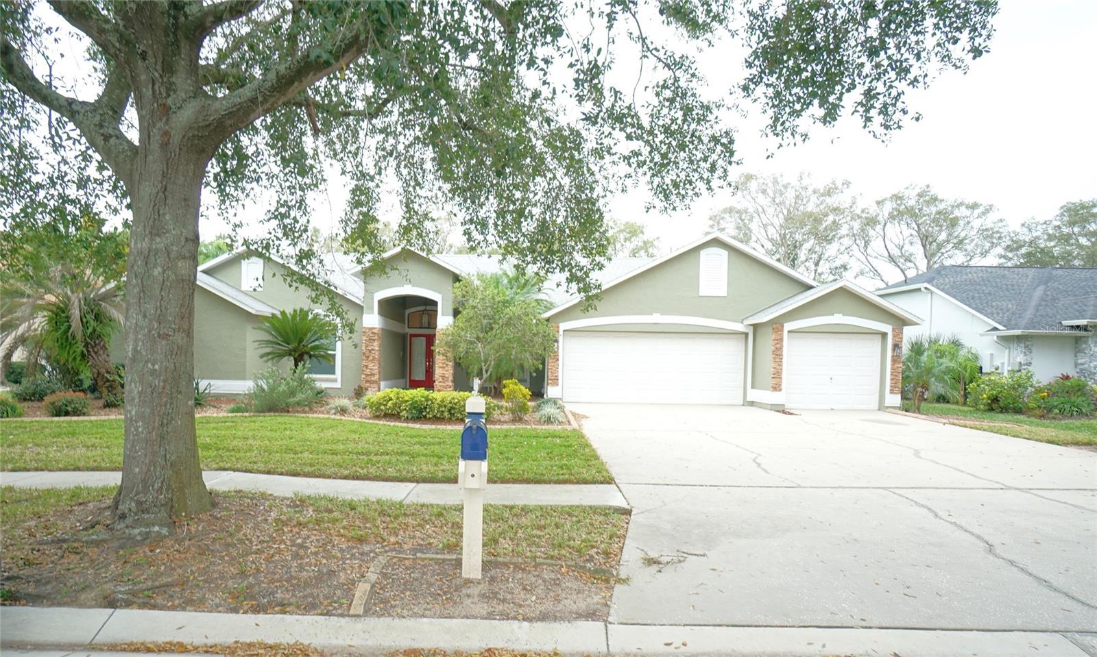 3807 TURKEY OAK DRIVE, Valrico, FL 33596 3807 TURKEY OAK DRIVE, Valrico, FL 33596