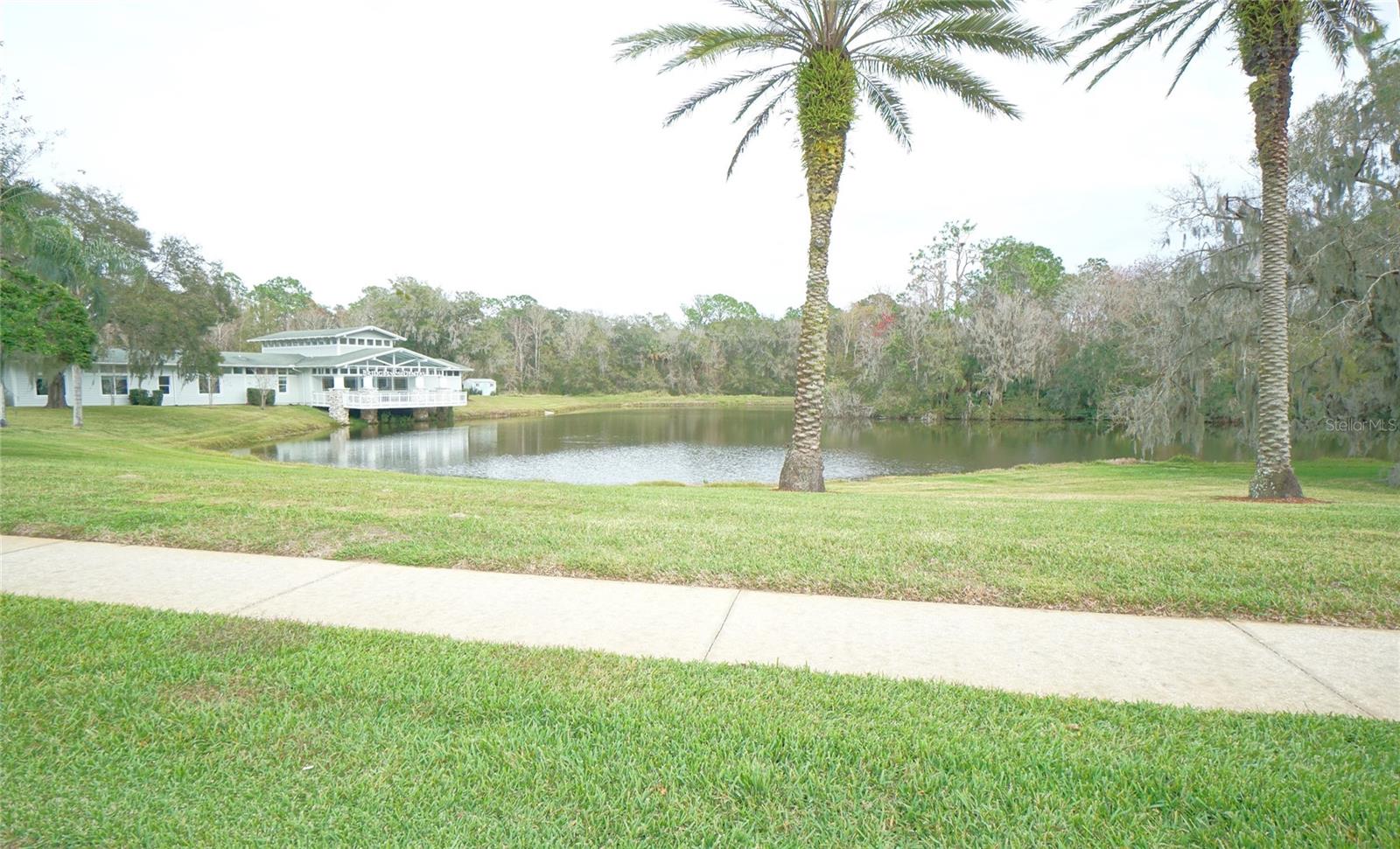 3807 TURKEY OAK DRIVE, Valrico, FL 33596