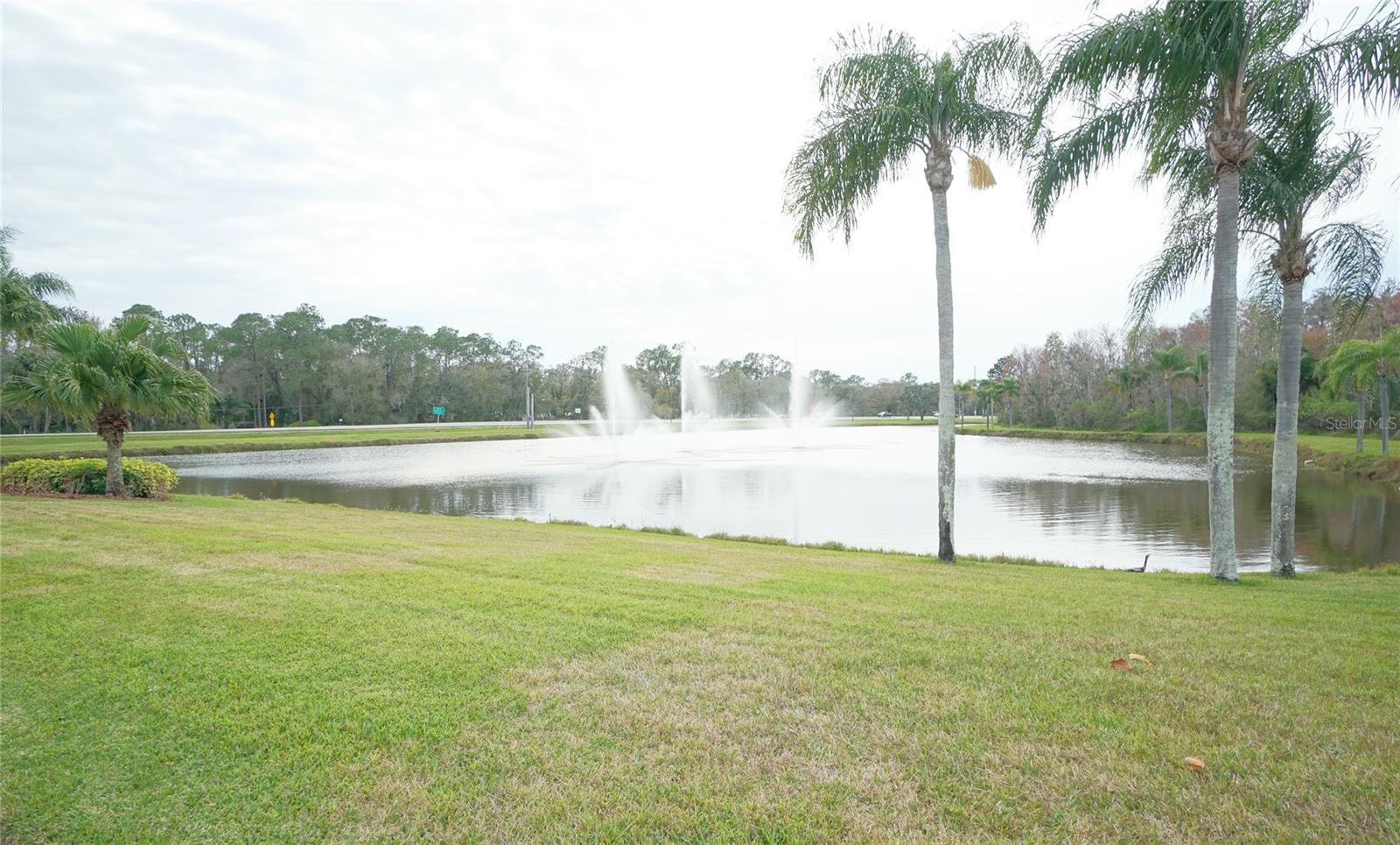 3807 TURKEY OAK DRIVE, Valrico, FL 33596
