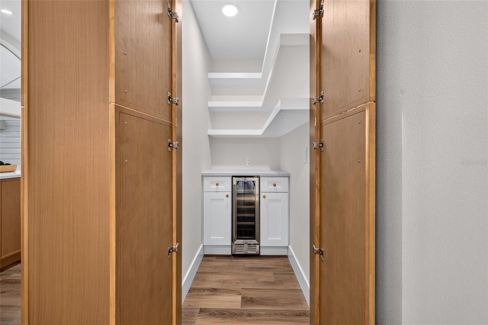 Walk in hidden Pantry