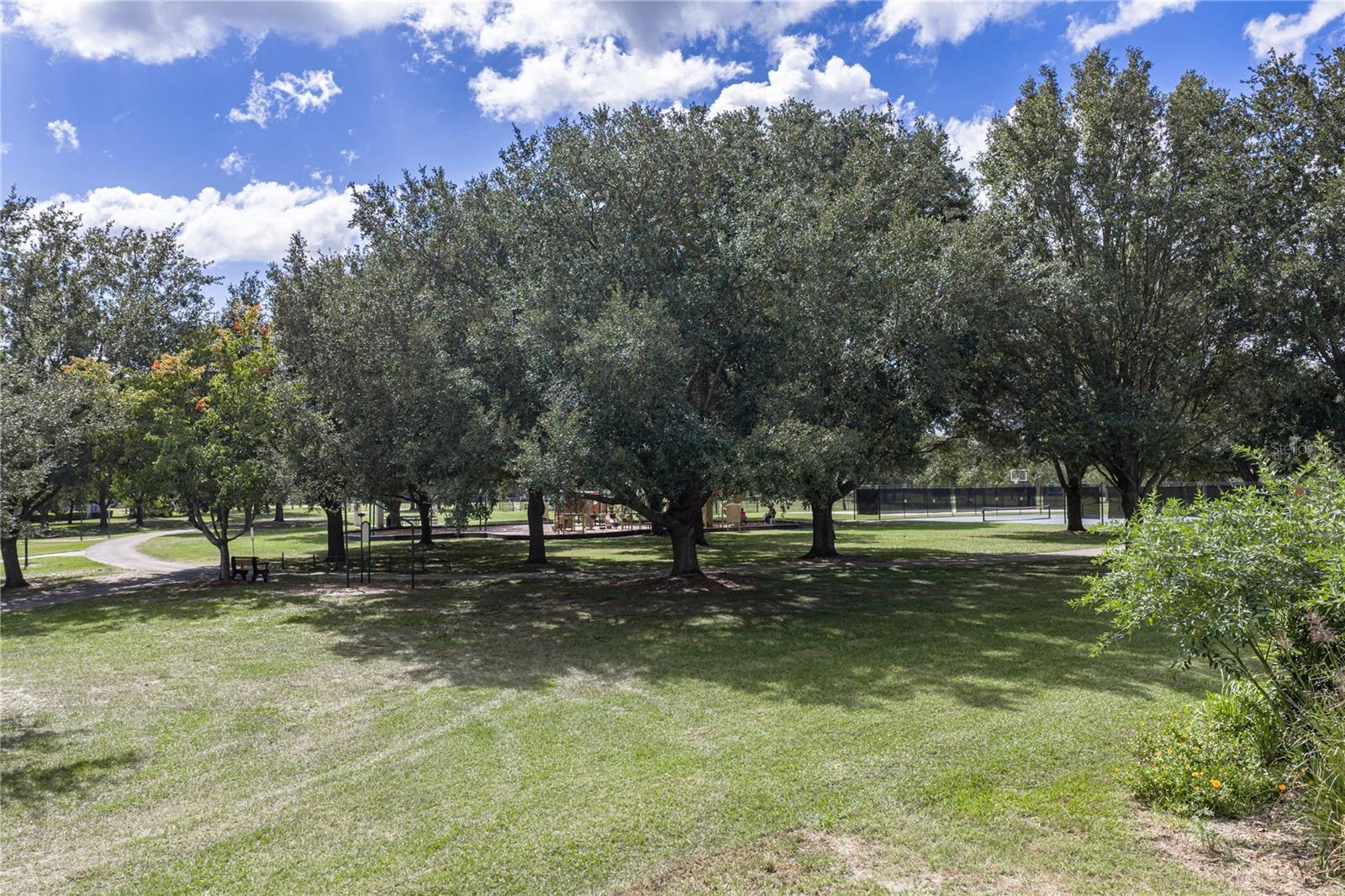14194 THOROUGHBRED DRIVE, Dade City, FL 33525