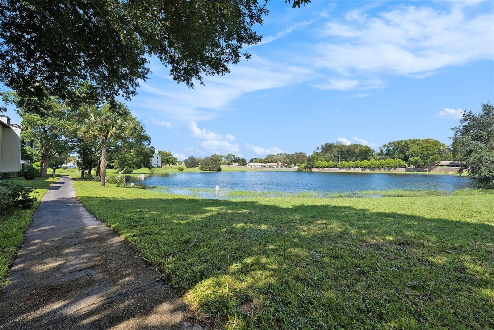 2600 PINE RIDGE WAY S, #B2, Palm Harbor, FL 34684