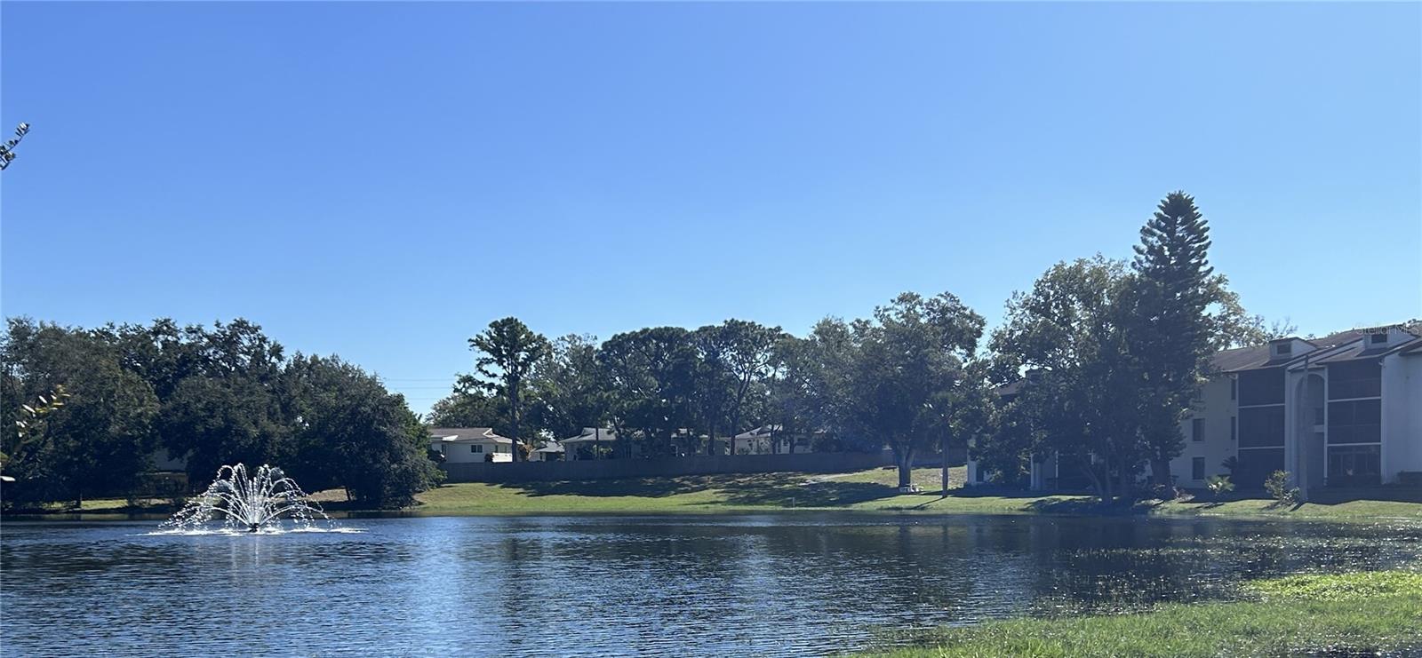 2600 PINE RIDGE WAY S, #B2, Palm Harbor, FL 34684