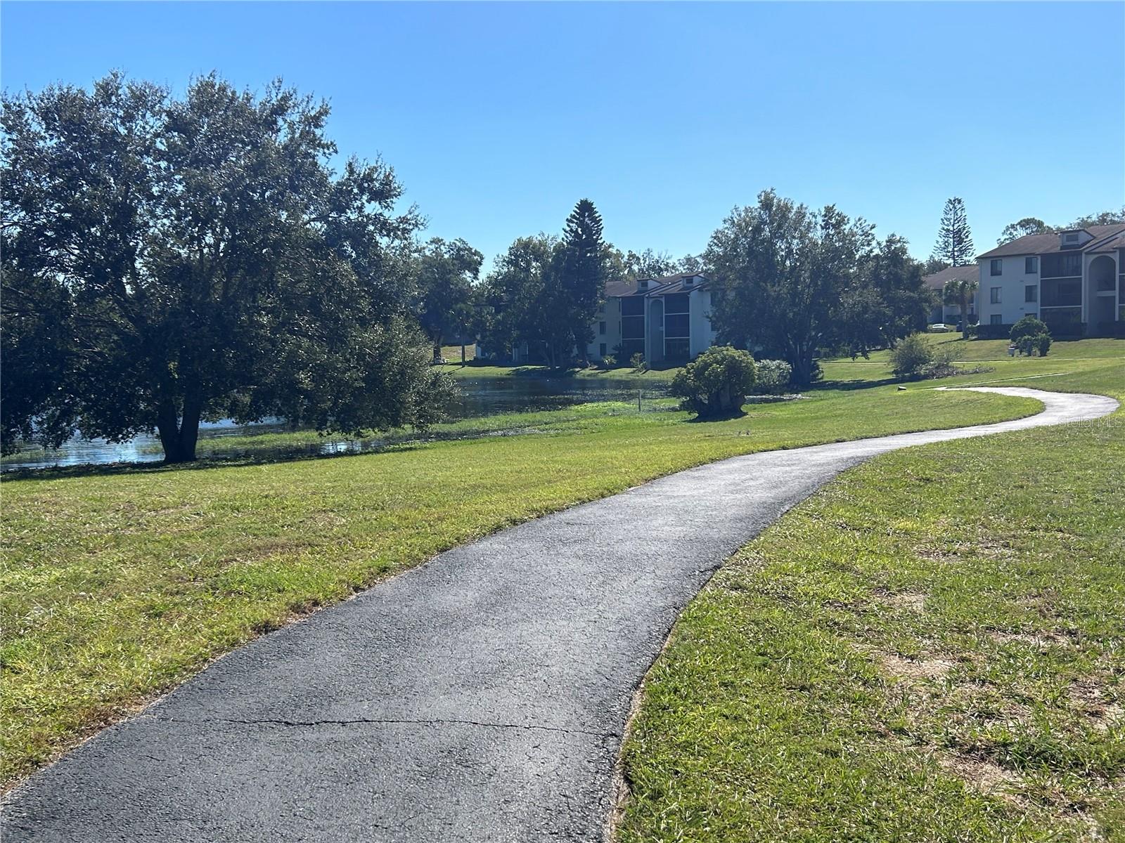 2600 PINE RIDGE WAY S, #B2, Palm Harbor, FL 34684