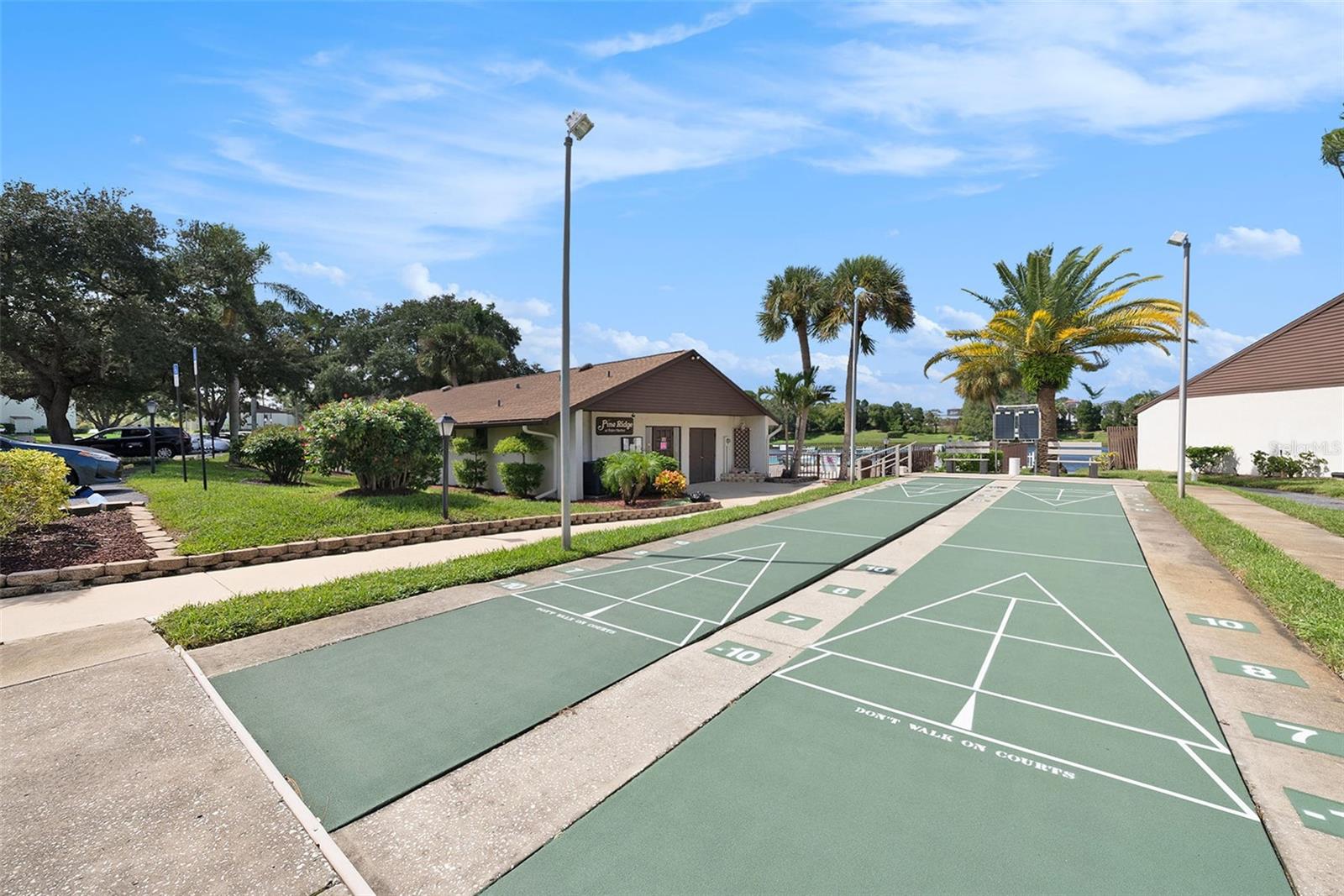 Shuffleboard