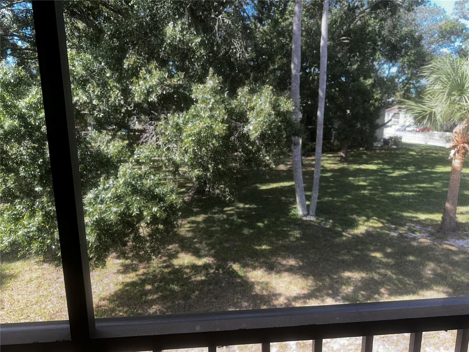 View from balcony