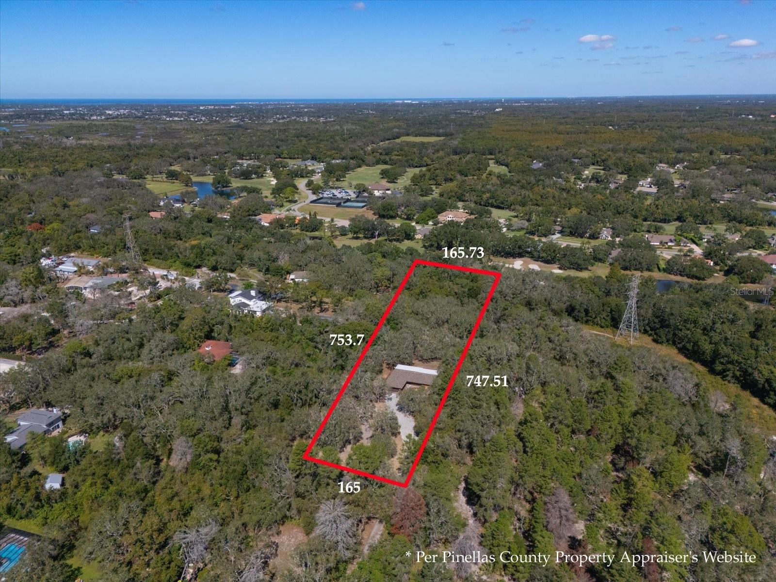 Aerial Perspective with Lot Dimensions