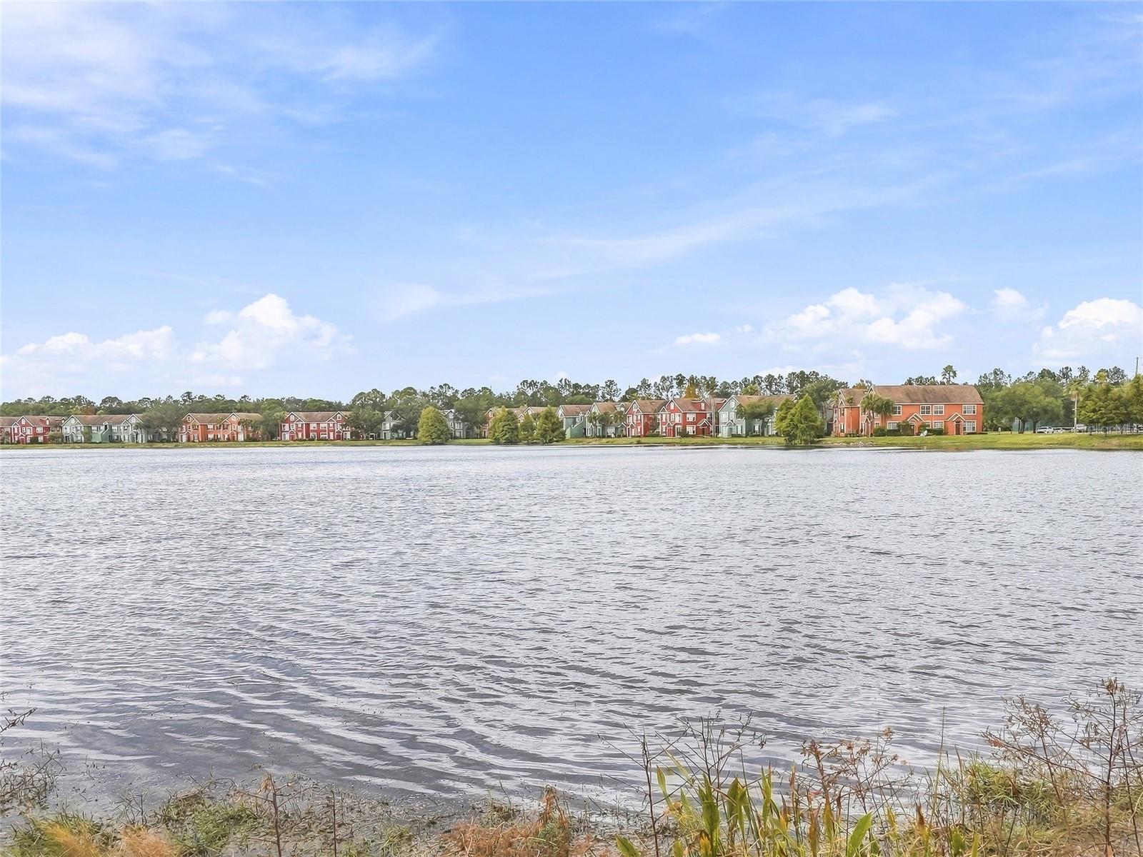9746 LAKE CHASE ISLAND WAY, Tampa, FL 33626