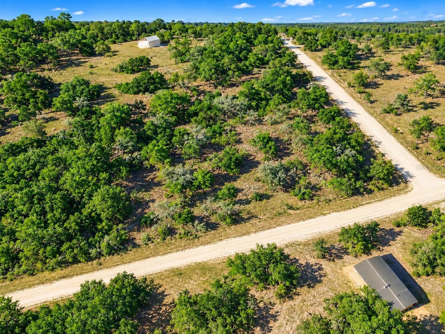21330 & 21360 SE 71ST STREET, Morriston, FL 32668