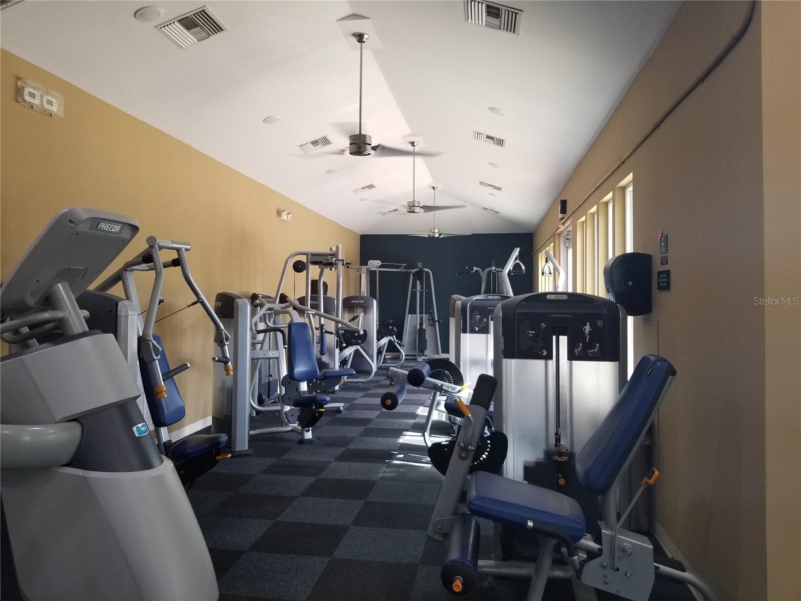 gym
