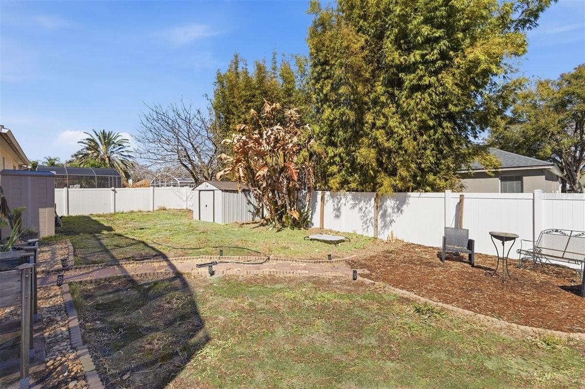 Backyard