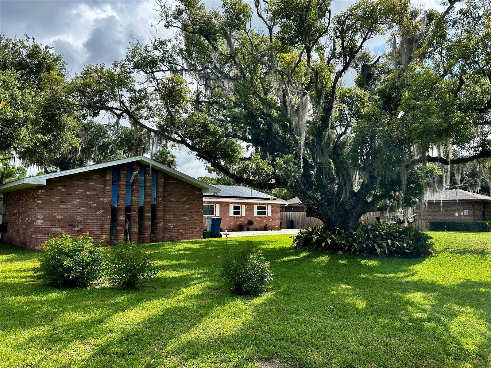 Front yard elevation