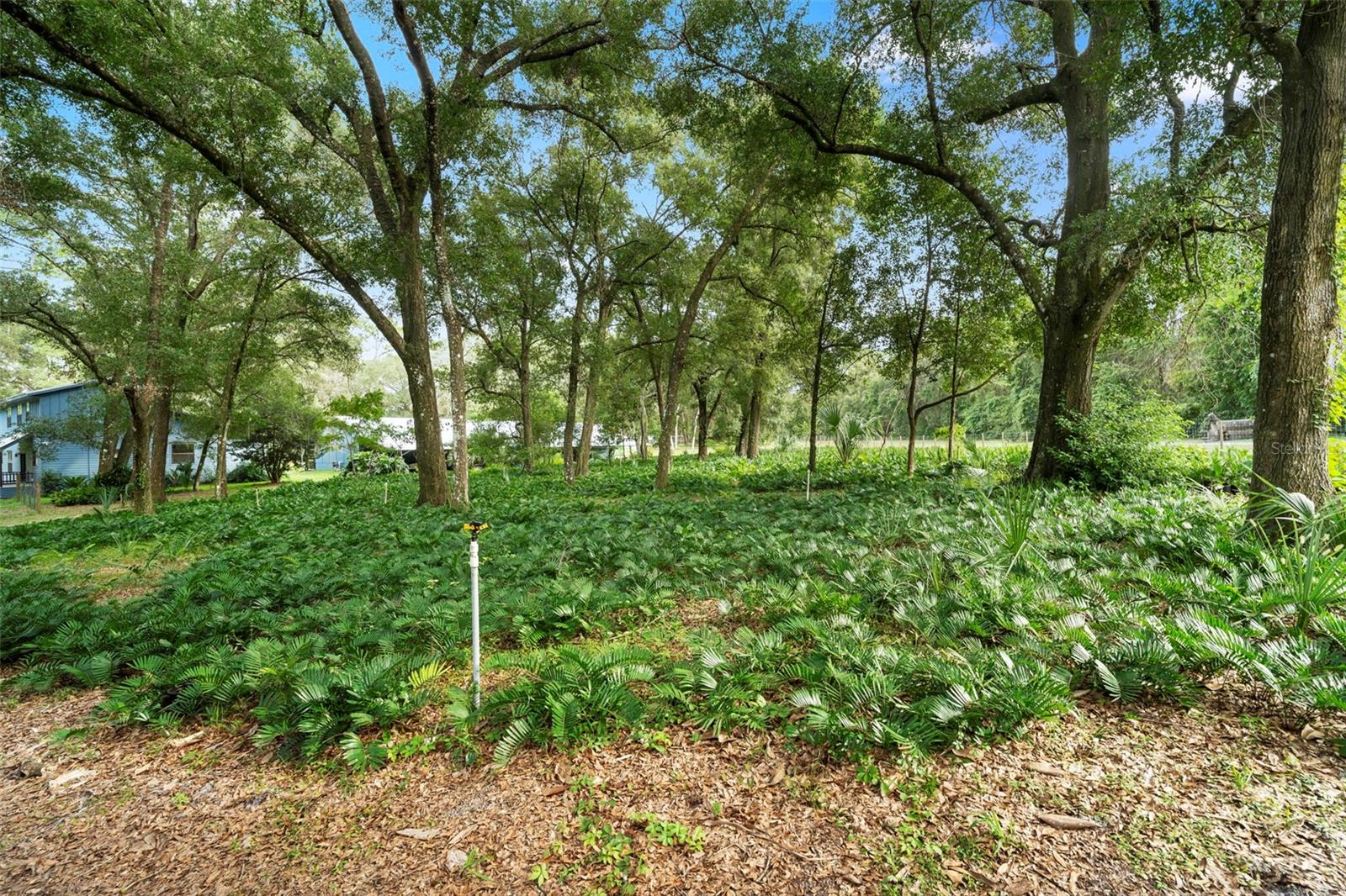 1268 MCGREGOR ROAD, Deland, FL 32720