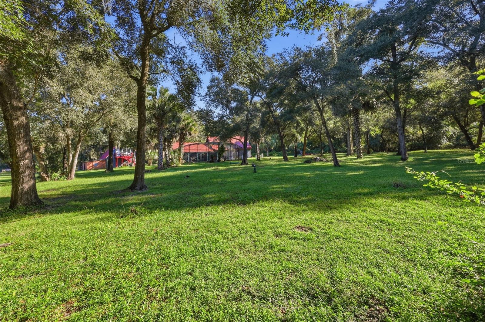 BACK YARD