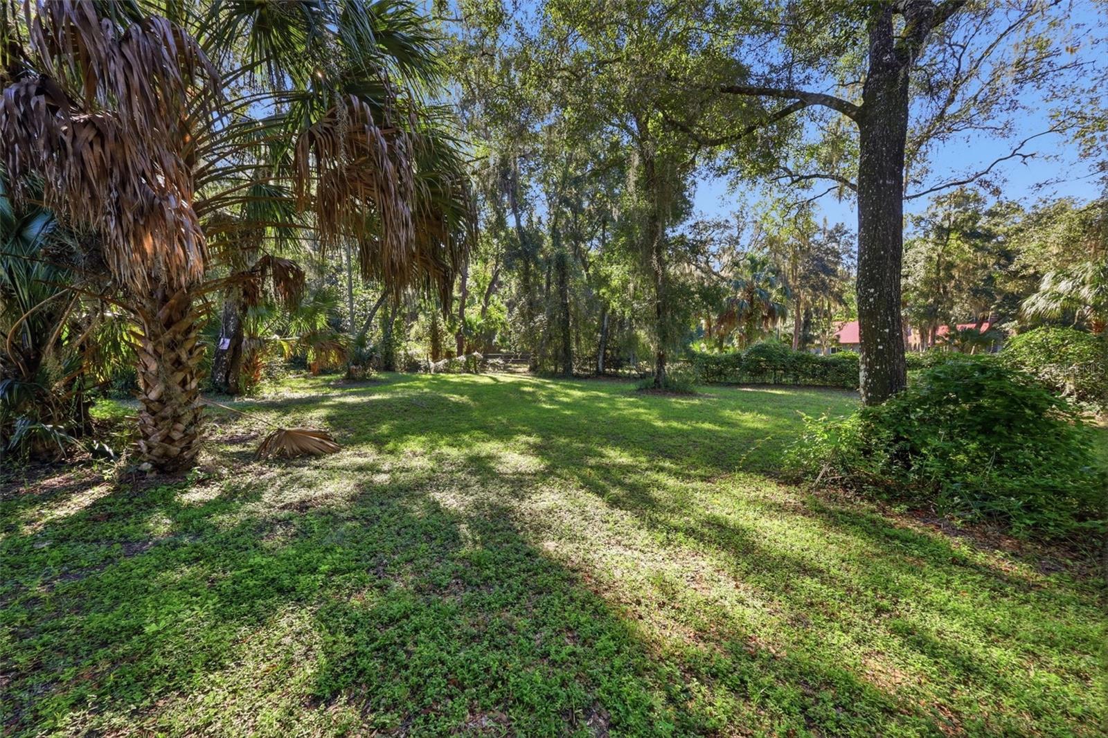 BACK YARD