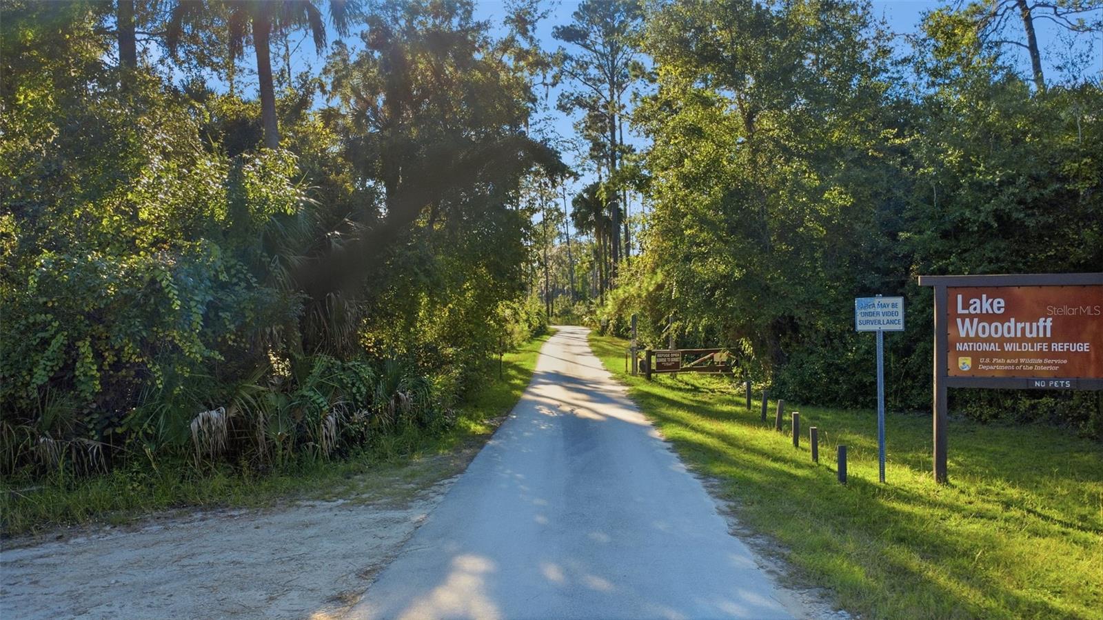 NEARBY LAKE/PARK