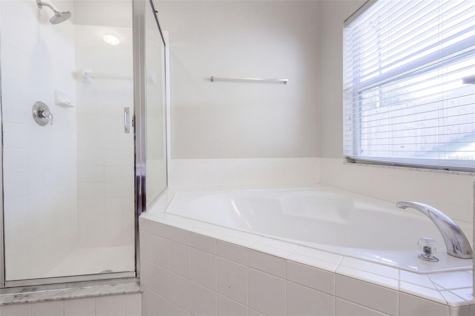 1416 LONGVILLE CIRCLE, Tavares, FL 32778