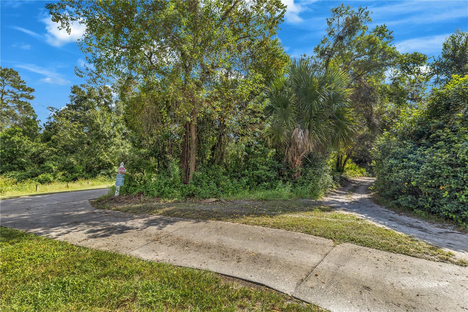 313 HAMPTON HILLS COURT, Debary, FL 32713