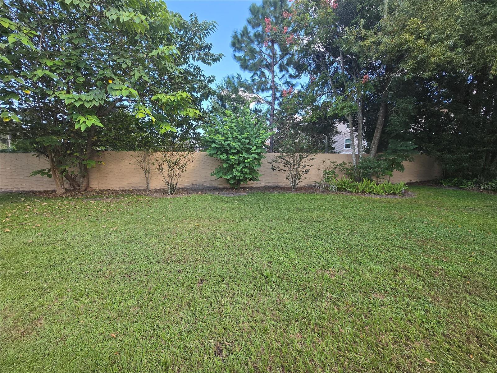 Back yard area
