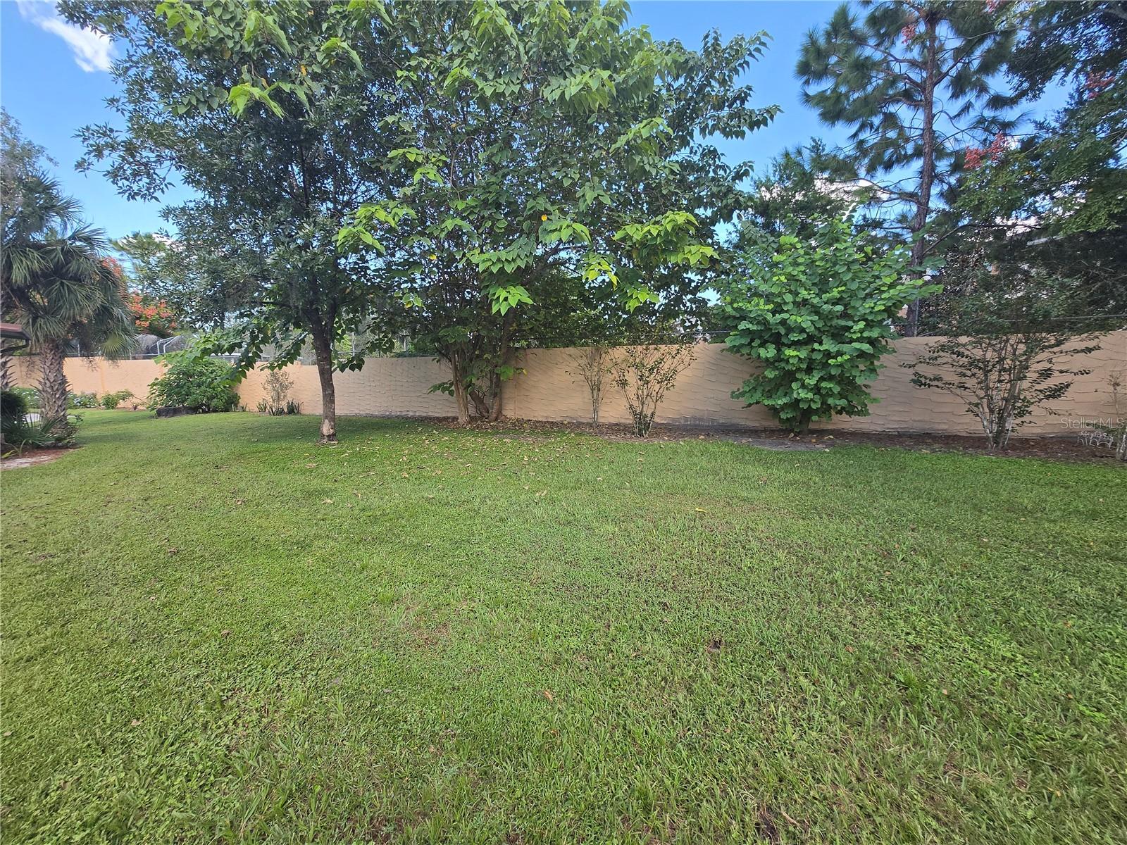 Back yard