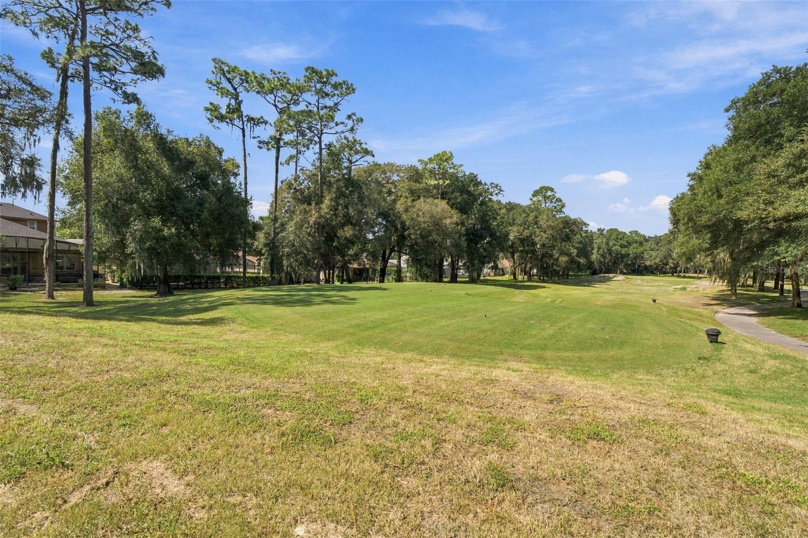 183 BIRCHMONT DRIVE, Deland, FL 32724