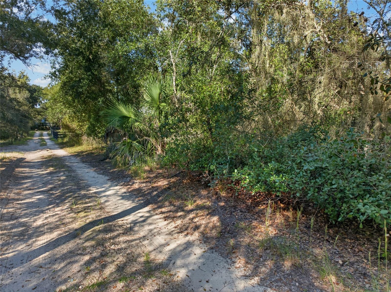 431 WILBURTON DRIVE, Deltona, FL 32738 431 WILBURTON DRIVE, Deltona, FL 32738