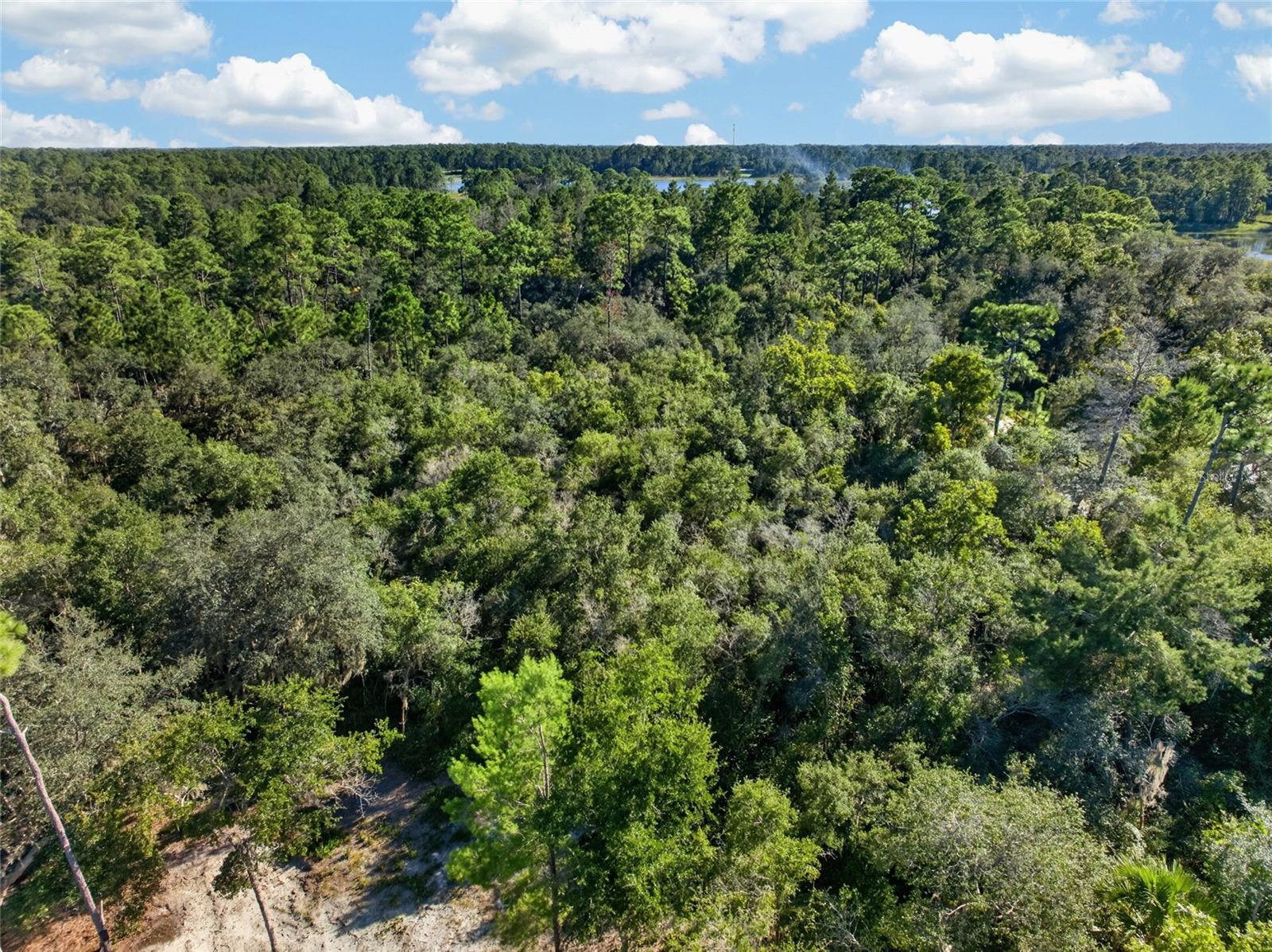 431 WILBURTON DRIVE, Deltona, FL 32738 431 WILBURTON DRIVE, Deltona, FL 32738