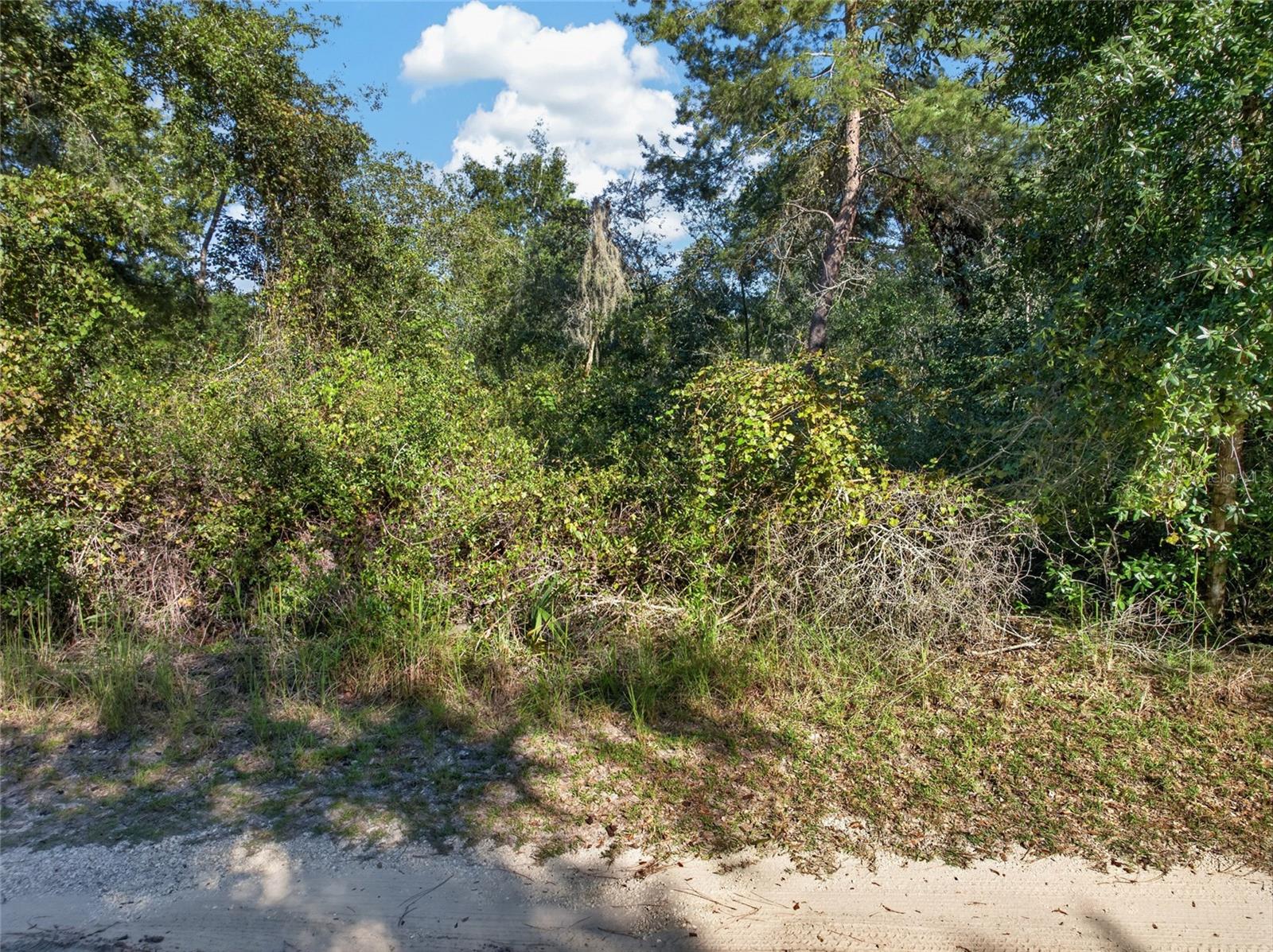 431 WILBURTON DRIVE, Deltona, FL 32738 431 WILBURTON DRIVE, Deltona, FL 32738