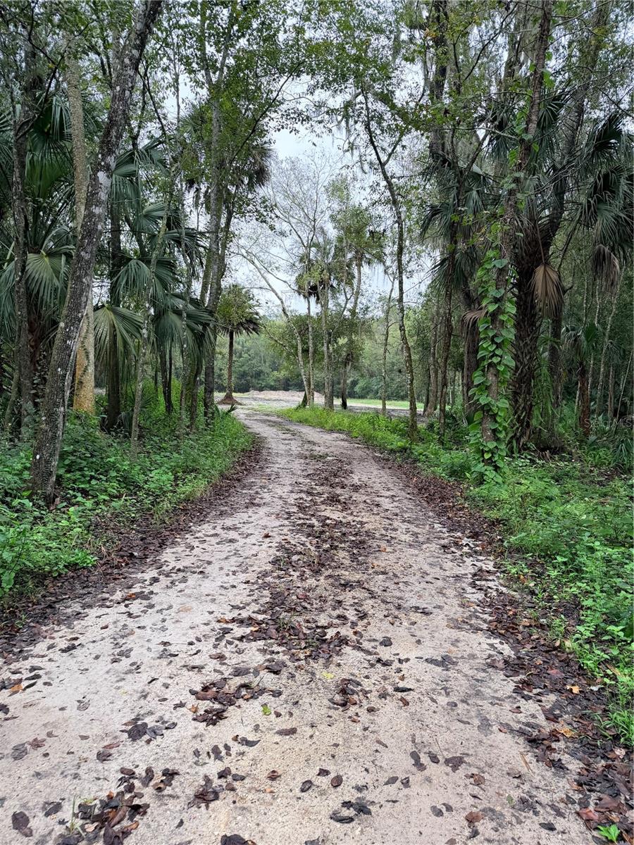2295 CANAL STREET, Oviedo, FL 32765 2295 CANAL STREET, Oviedo, FL 32765