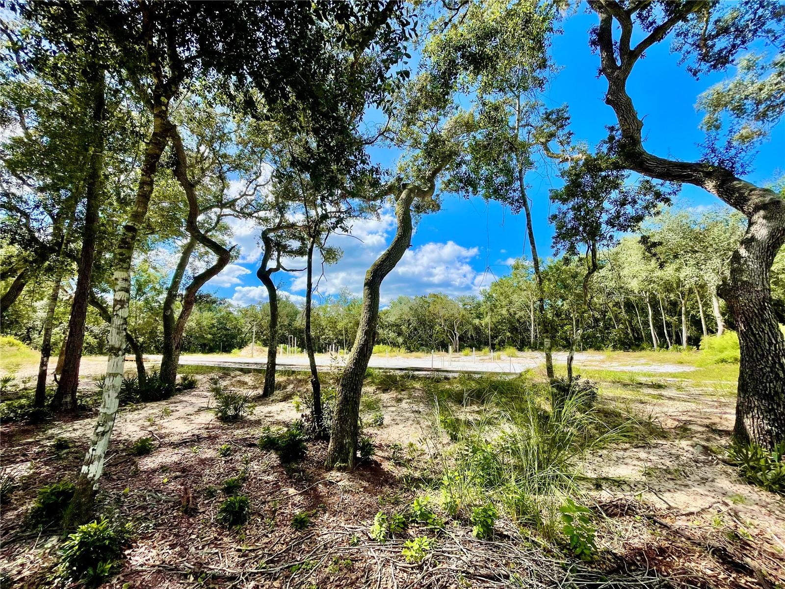 47125 EAST AVENUE, Paisley, FL 32767 47125 EAST AVENUE, Paisley, FL 32767