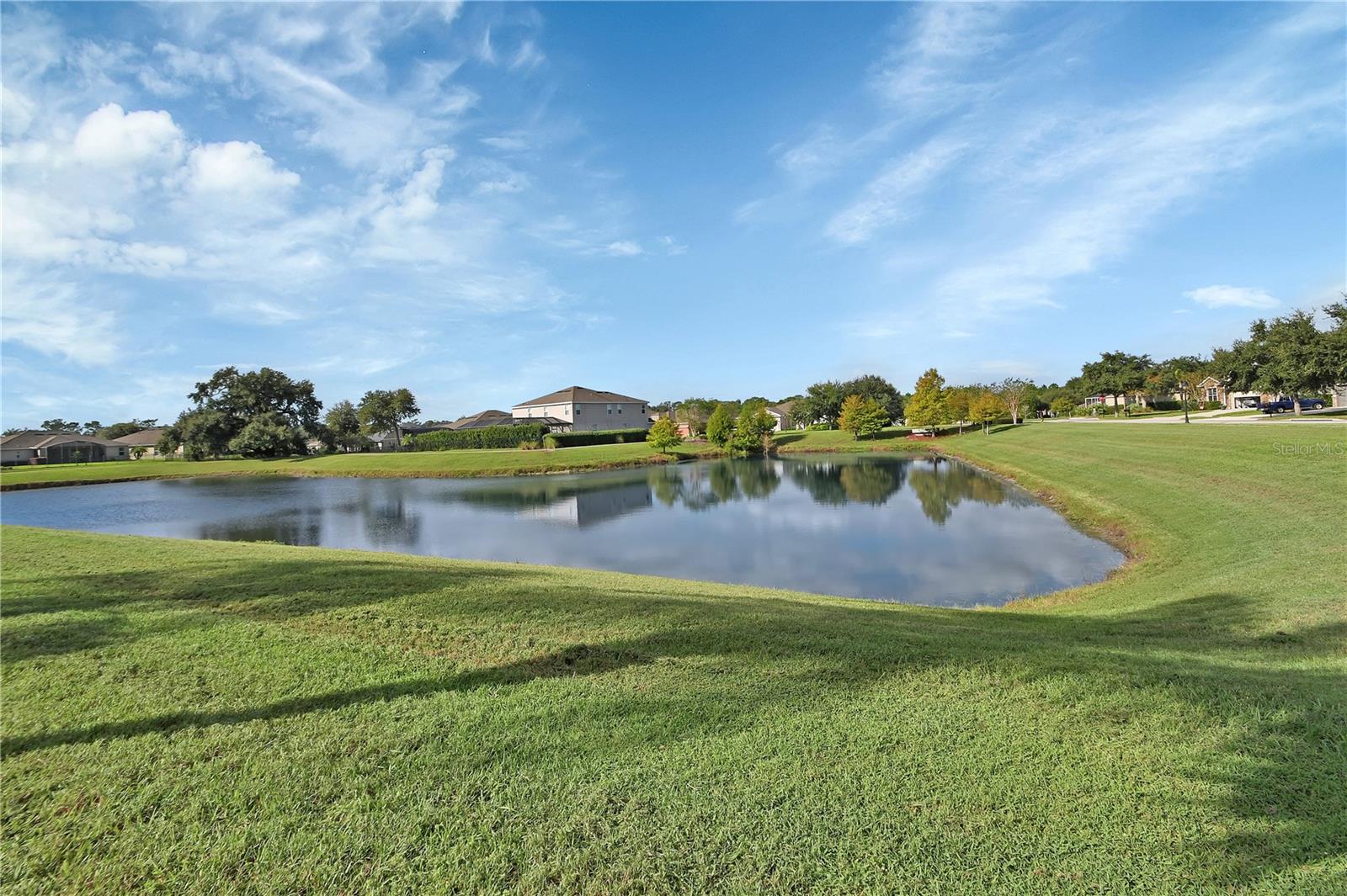 Pond view