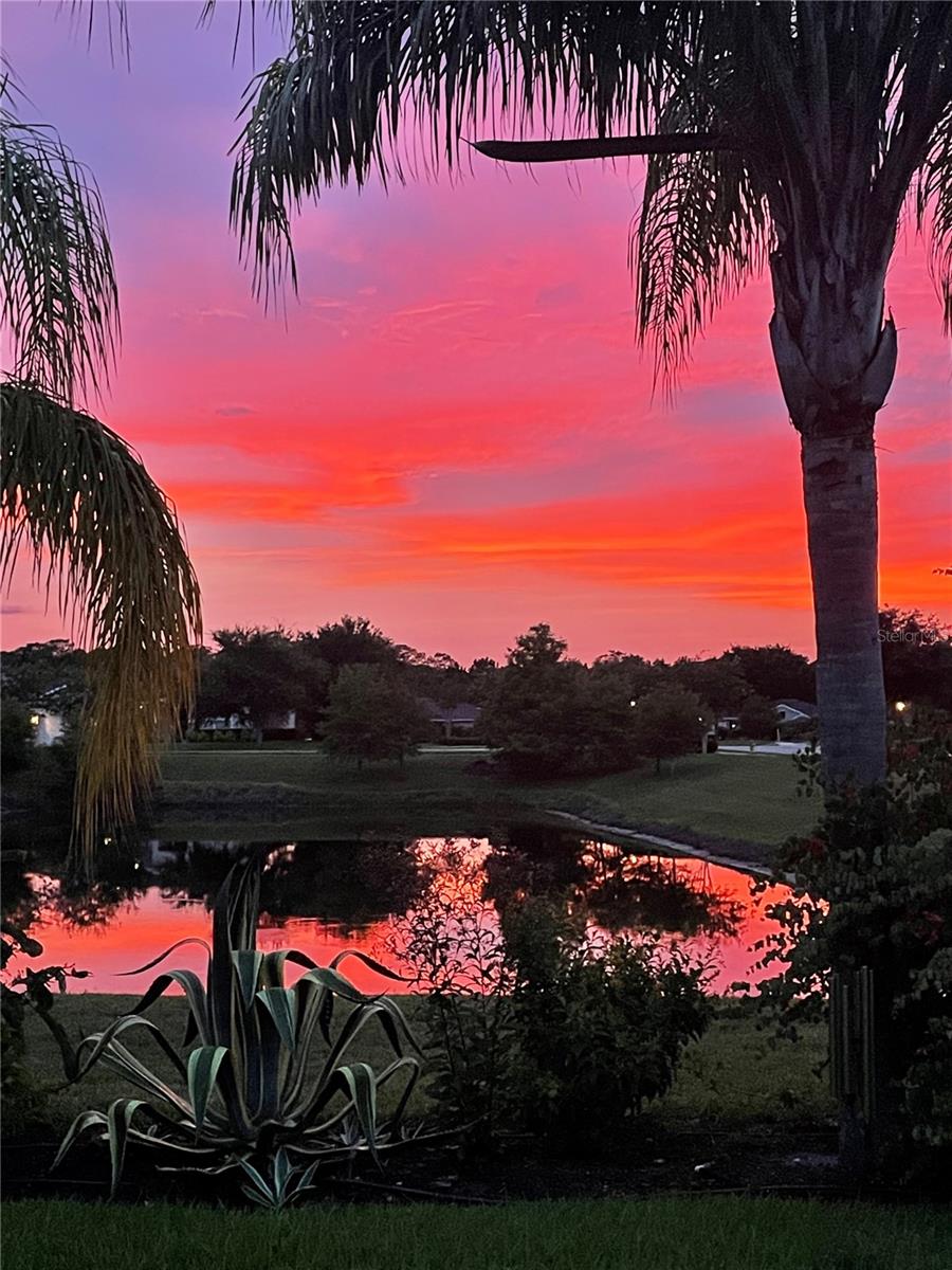 Sunset over the pond