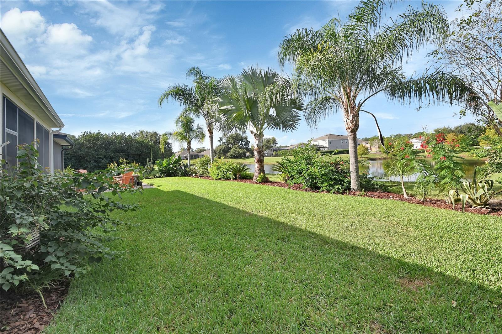 Palms and tropical landscaping