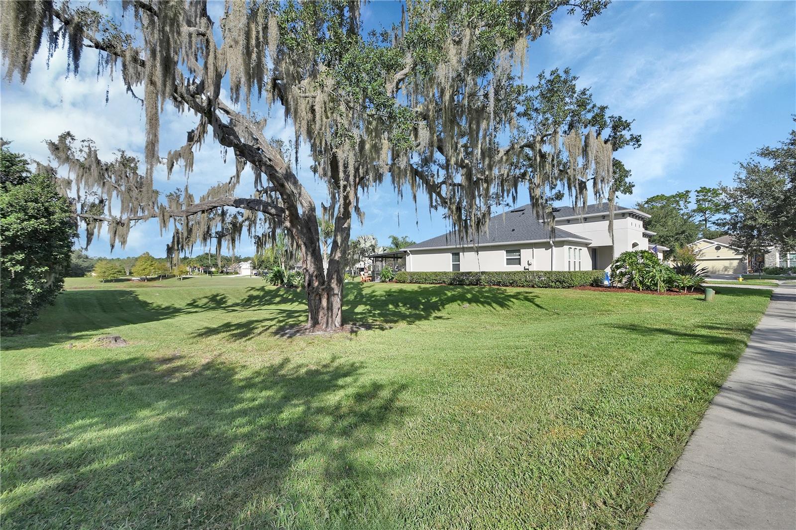Conservation lot next to home