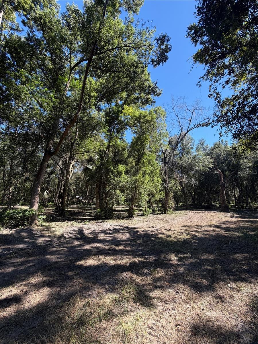 W OHIO AVENUE, Lake Helen, FL 32744 W OHIO AVENUE, Lake Helen, FL 32744