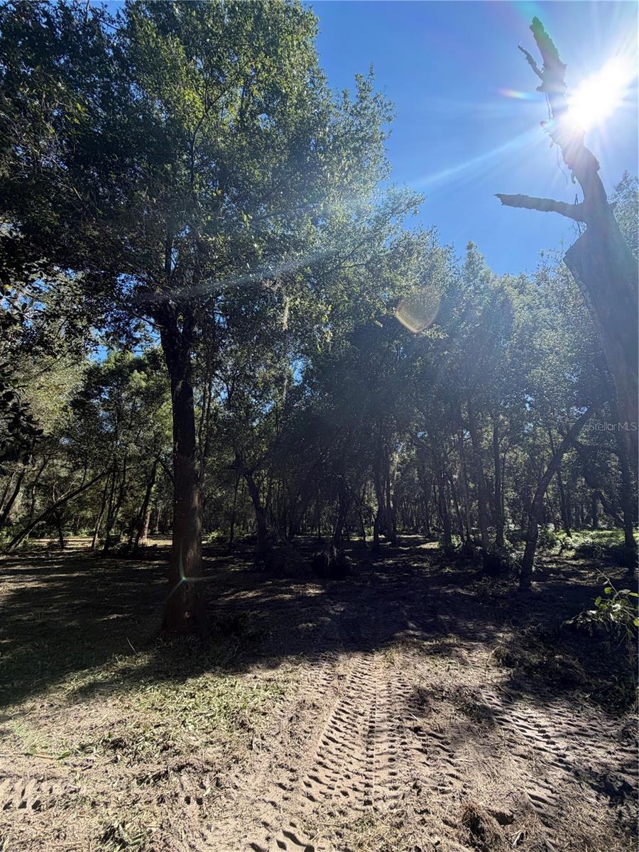W OHIO AVENUE, Lake Helen, FL 32744 W OHIO AVENUE, Lake Helen, FL 32744