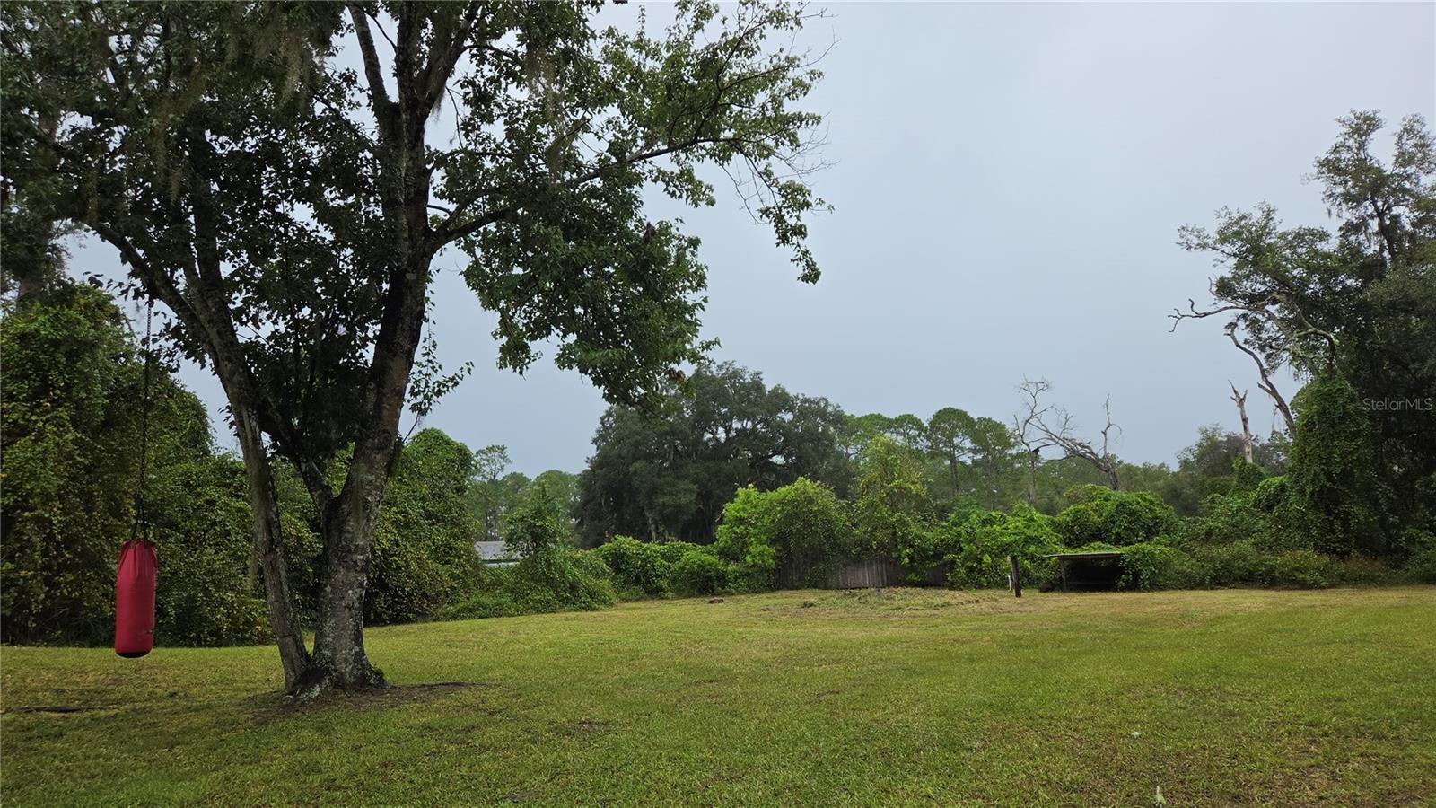 2381 OLD DAYTONA RD, Deland, FL 32724 2381 OLD DAYTONA RD, Deland, FL 32724