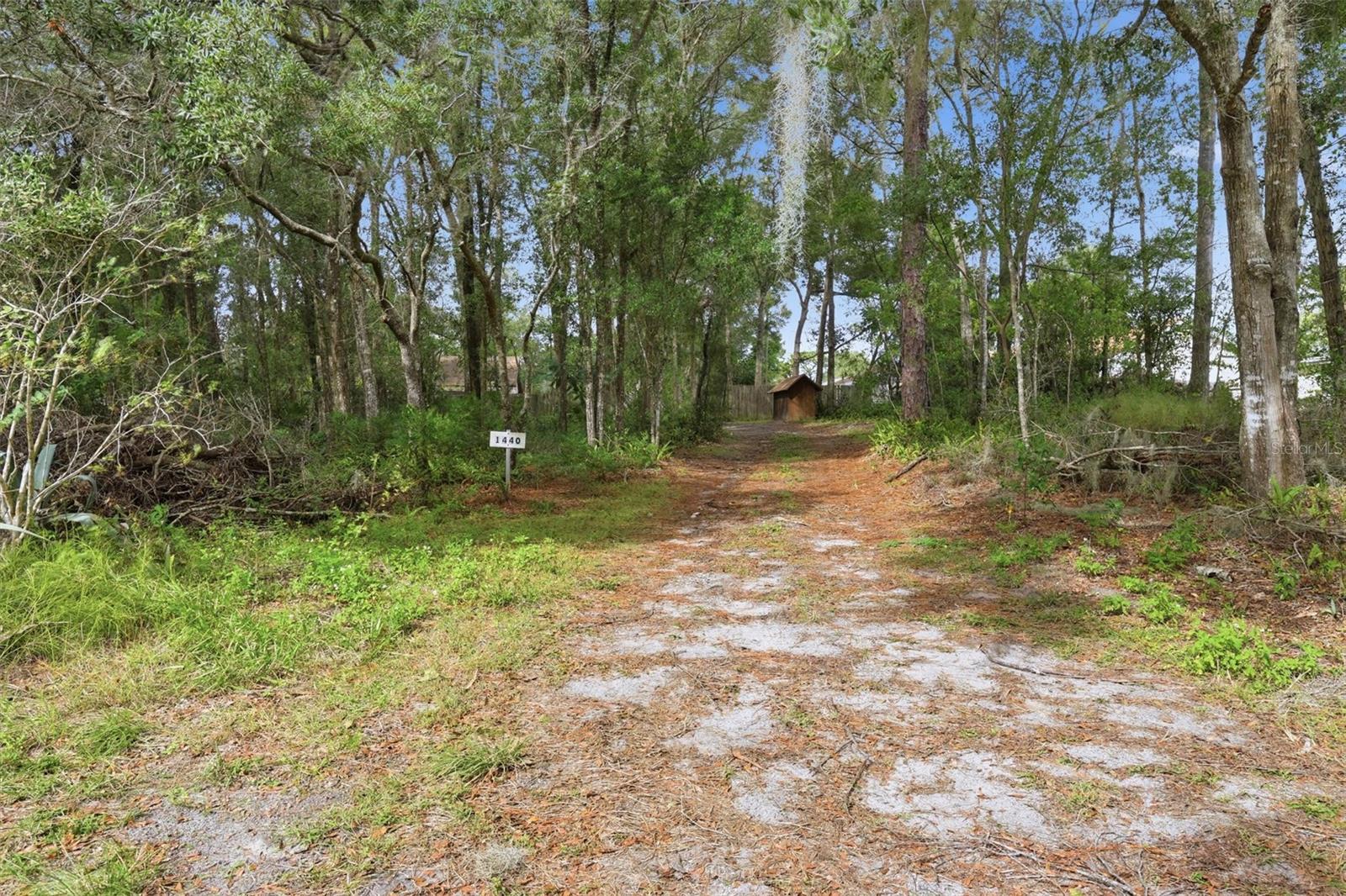 Side yard, private entry