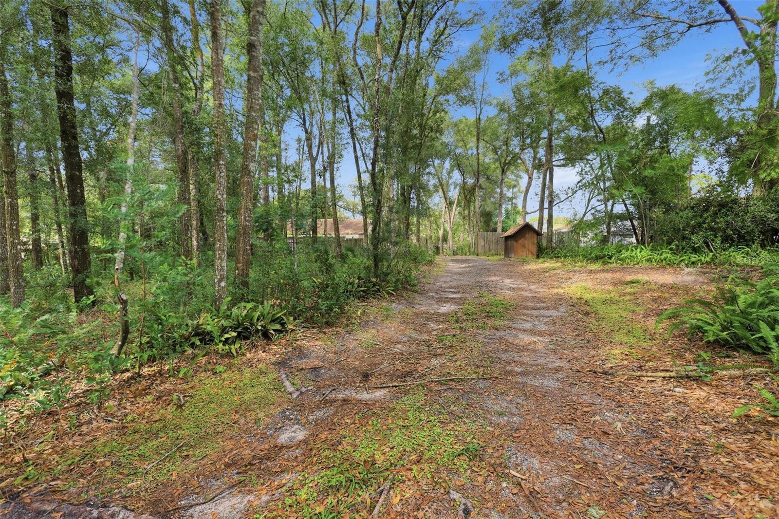 Side yard, private entry